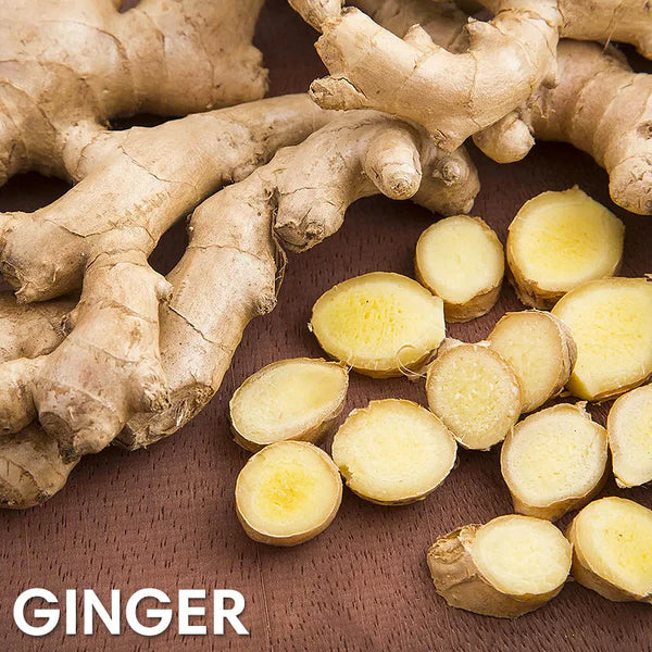 CREMA DE JENGIBRE GINECOMASTIA SoliPac™