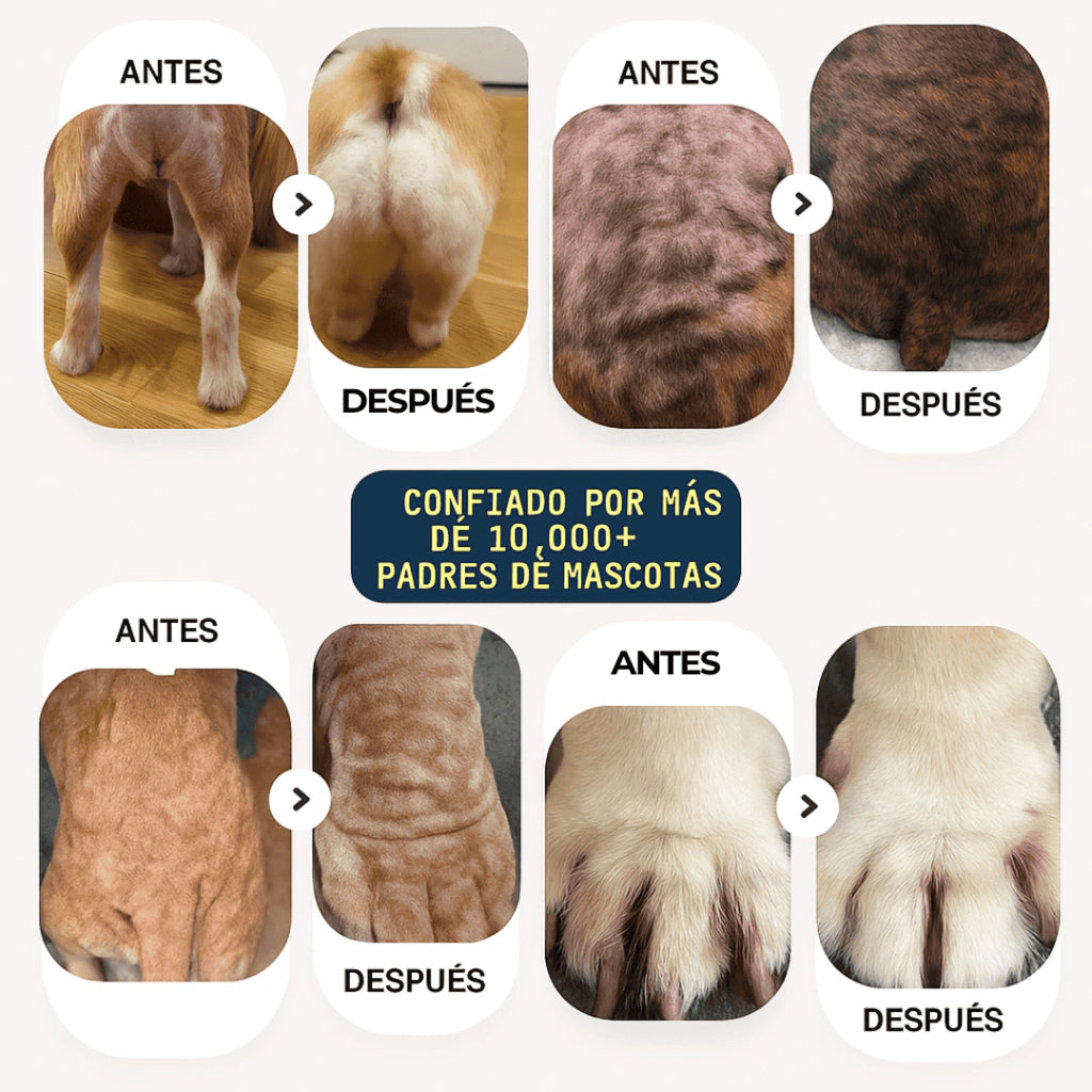 PET LOVE - Spray Natural Antiirritación
