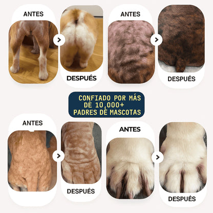 PET LOVE - Spray Natural Antiirritación